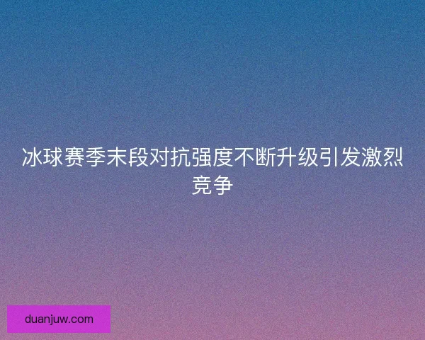 冰球赛季末段对抗强度不断升级引发激烈竞争